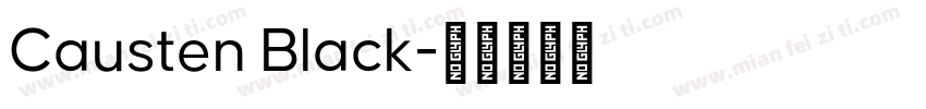 Causten Black字体转换